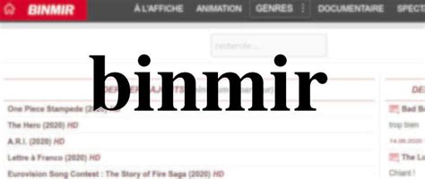 binmir xyz.